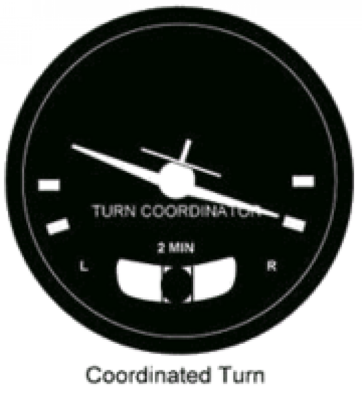 turn-slip-indicator1.png