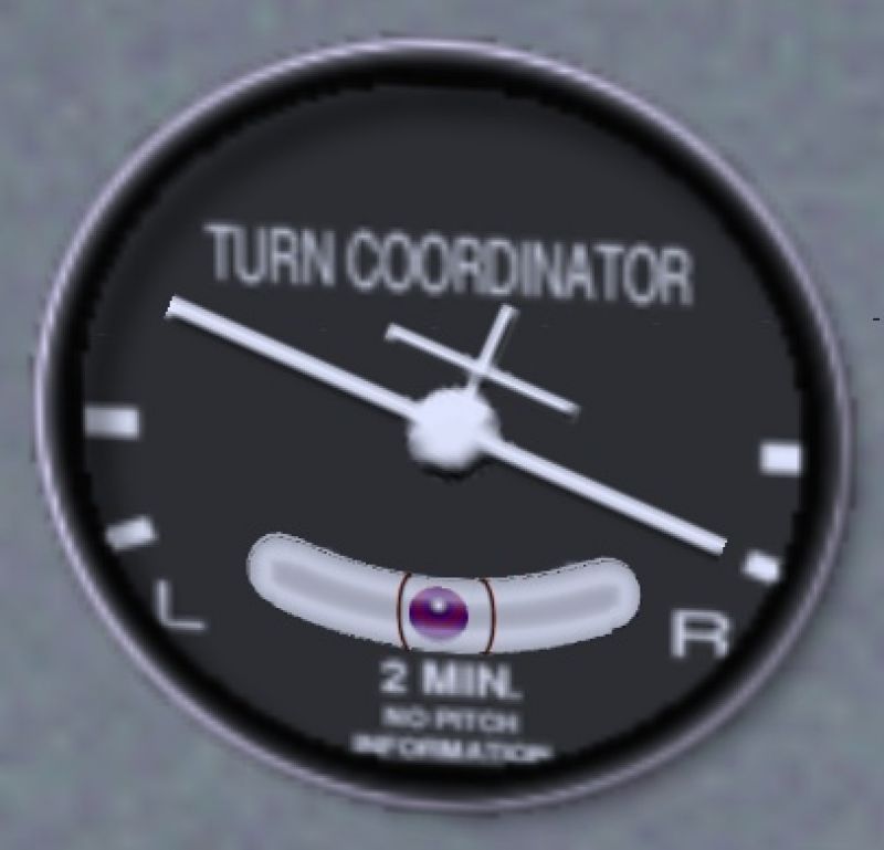 turn-slip-indicator2.jpg