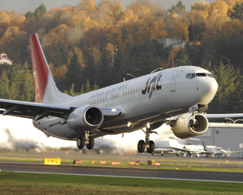 jal-a320.jpg