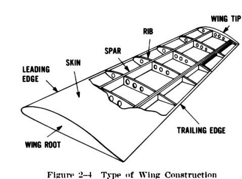 wing-basic.jpg