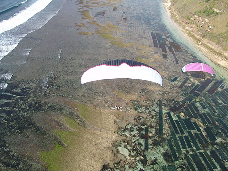 parachutist-b11.jpg