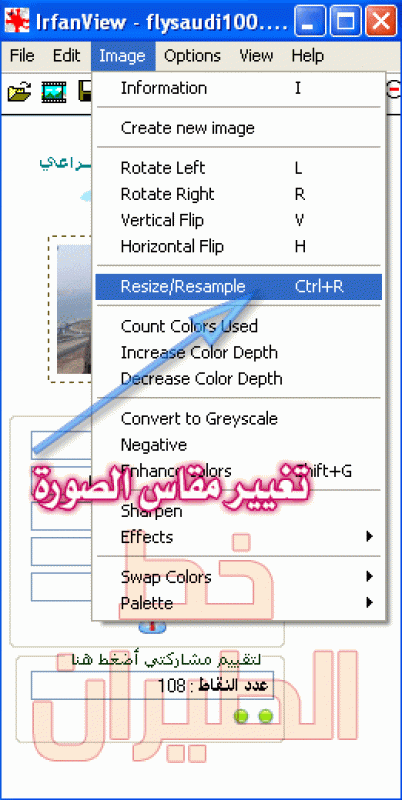 irfanview-r1.gif