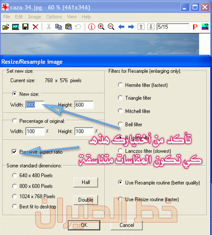 irfanview-r2.gif