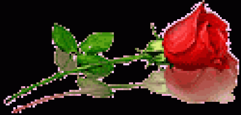 rose-flower.gif