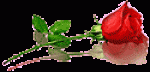 rose-flower.gif