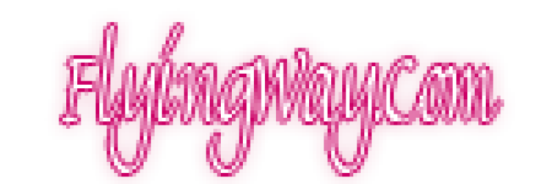 flyingway-png.png