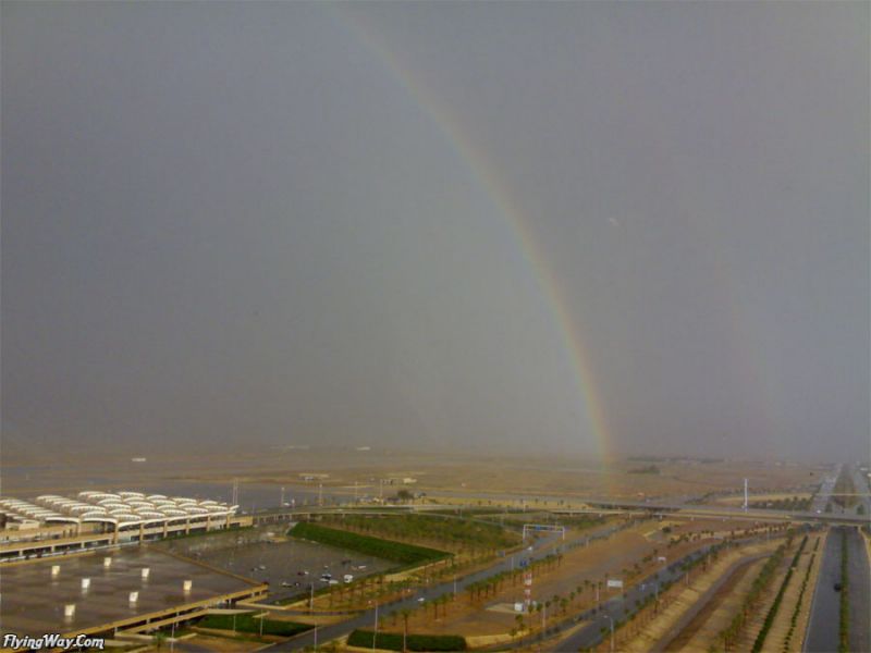 kia_rainbow4.jpg