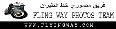 flyingway-photos-team.jpg
