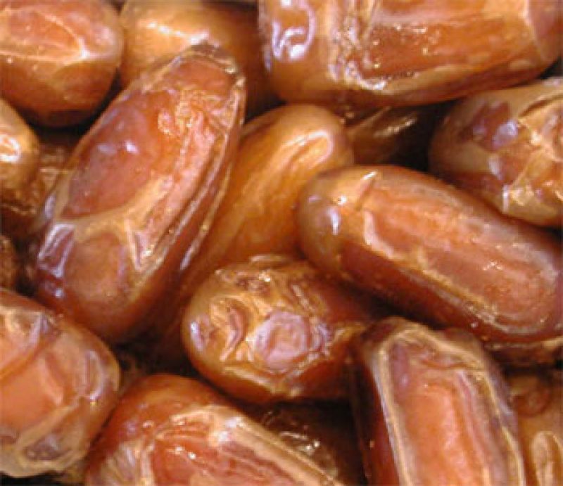 dates-1.jpg