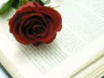 book-rose.jpg