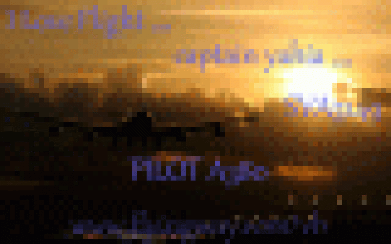 b467ca8121.gif